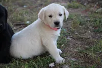 processed/e2cd34d8-ded1-4d47-831d-cfbde293db7c/listing/5178db45-c97a-4b3d-88cf-4ce7ef33bebc/481acc87-2d82-4ccc-9321-3aae52f90038