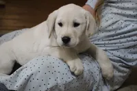 processed/e2cd34d8-ded1-4d47-831d-cfbde293db7c/listing/5178db45-c97a-4b3d-88cf-4ce7ef33bebc/a4776f1c-35d1-48bb-b327-d5f9ba702a1a