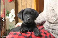 processed/e2cd34d8-ded1-4d47-831d-cfbde293db7c/listing/539753fb-0cfb-408b-8f5c-e89d1a5f7194/005f2ea1-77ef-448a-b7dd-b4e735d25f92