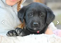 processed/e2cd34d8-ded1-4d47-831d-cfbde293db7c/listing/539753fb-0cfb-408b-8f5c-e89d1a5f7194/433cef5c-1f35-4429-ab4f-78a008312c81