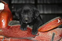 processed/e2cd34d8-ded1-4d47-831d-cfbde293db7c/listing/539753fb-0cfb-408b-8f5c-e89d1a5f7194/59a41508-b4e5-473a-9af8-235355844f5b