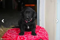 processed/e2cd34d8-ded1-4d47-831d-cfbde293db7c/listing/539753fb-0cfb-408b-8f5c-e89d1a5f7194/b5ac0e4b-7956-47e6-8ed7-f7f1713049d1