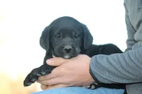 processed/e2cd34d8-ded1-4d47-831d-cfbde293db7c/listing/6a9e9e48-20d9-4f35-ab7e-bbe030b7937c/02a06c89-3748-44c8-935e-b8d154679fe2