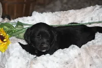 processed/e2cd34d8-ded1-4d47-831d-cfbde293db7c/listing/6a9e9e48-20d9-4f35-ab7e-bbe030b7937c/0ba0a8e9-b245-4bbe-b5eb-53b96740d959