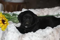 processed/e2cd34d8-ded1-4d47-831d-cfbde293db7c/listing/6a9e9e48-20d9-4f35-ab7e-bbe030b7937c/5b9cafe3-b8d0-42a4-b263-285c62665690