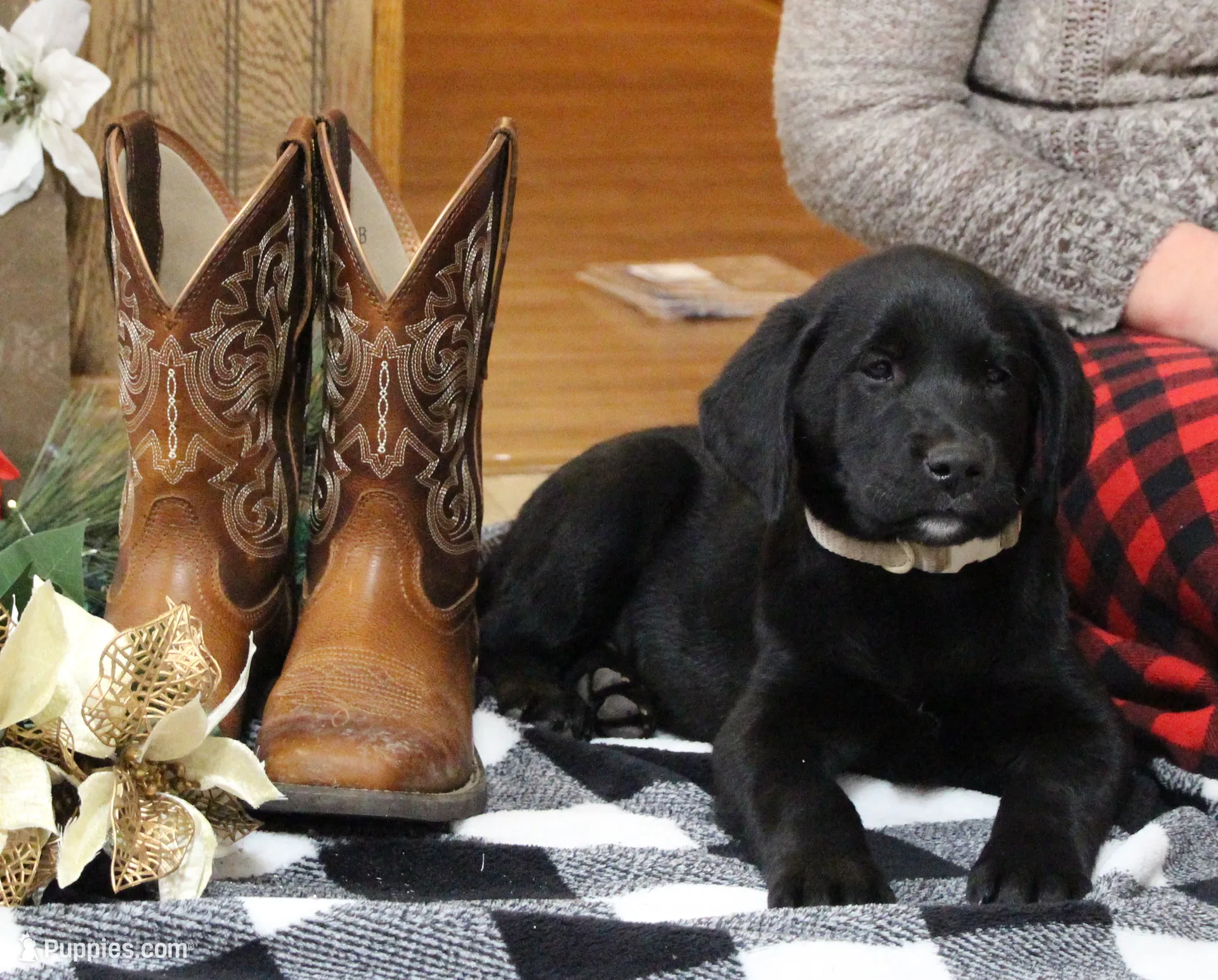 processed/e2cd34d8-ded1-4d47-831d-cfbde293db7c/listing/6a9e9e48-20d9-4f35-ab7e-bbe030b7937c/9f24a0f8-a811-452a-b4e4-da8dfac35f93