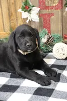 processed/e2cd34d8-ded1-4d47-831d-cfbde293db7c/listing/6a9e9e48-20d9-4f35-ab7e-bbe030b7937c/c739af9c-d463-499e-a832-70e37af97ca1