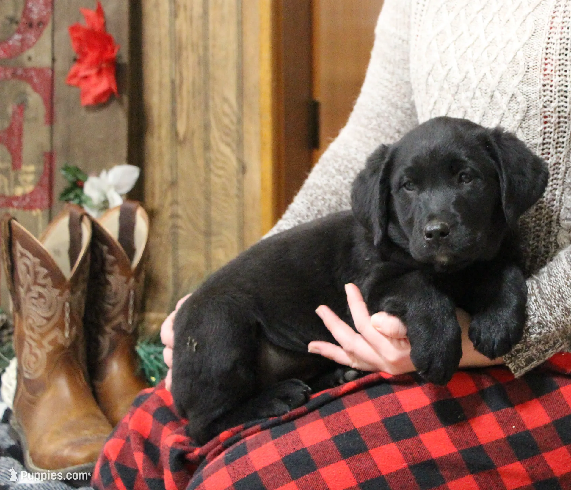 processed/e2cd34d8-ded1-4d47-831d-cfbde293db7c/listing/7d0c936d-26c5-4bc1-b1a3-324927fe0e19/0a5ddee2-2978-4526-9b6c-21550109ac21