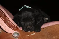 processed/e2cd34d8-ded1-4d47-831d-cfbde293db7c/listing/7d0c936d-26c5-4bc1-b1a3-324927fe0e19/1c4a5124-3db7-49f5-90f2-6d885321b7ad