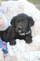 processed/e2cd34d8-ded1-4d47-831d-cfbde293db7c/listing/7d0c936d-26c5-4bc1-b1a3-324927fe0e19/79383eb0-3d03-43b9-b2f6-39e85b8b7be7