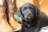 processed/e2cd34d8-ded1-4d47-831d-cfbde293db7c/listing/7d0c936d-26c5-4bc1-b1a3-324927fe0e19/9995f4c8-f561-4966-a234-1b96bd9548d4