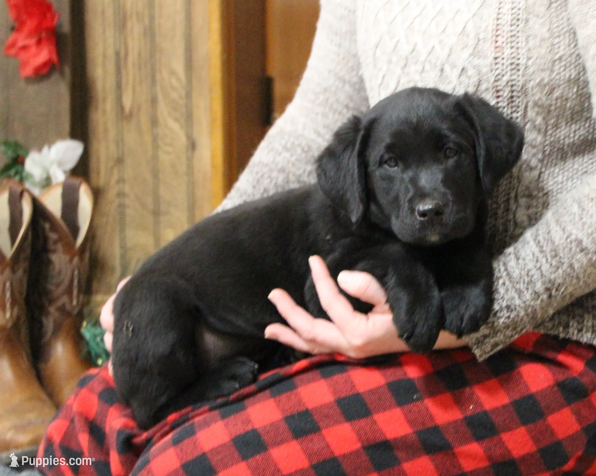 processed/e2cd34d8-ded1-4d47-831d-cfbde293db7c/listing/7d0c936d-26c5-4bc1-b1a3-324927fe0e19/c67749a4-7332-4f8d-8574-8309c6ecf385