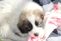 processed/e2cd34d8-ded1-4d47-831d-cfbde293db7c/listing/92a9f684-093e-49f5-b070-82981e24033f/3878447a-2652-4ce7-8efb-be433b635085