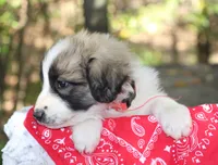 processed/e2cd34d8-ded1-4d47-831d-cfbde293db7c/listing/92a9f684-093e-49f5-b070-82981e24033f/9d67d653-354b-4051-8817-09de7acd97fb