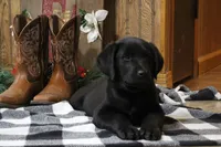 processed/e2cd34d8-ded1-4d47-831d-cfbde293db7c/listing/dd4bcd99-7ffb-4088-9d36-dec1af35fdfa/95a156f4-7f1f-43bf-9083-eb3fb2fae53f