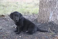 processed/e2cd34d8-ded1-4d47-831d-cfbde293db7c/listing/dd4bcd99-7ffb-4088-9d36-dec1af35fdfa/f00b68a1-67e4-4f14-8bf4-da7c24ce0087