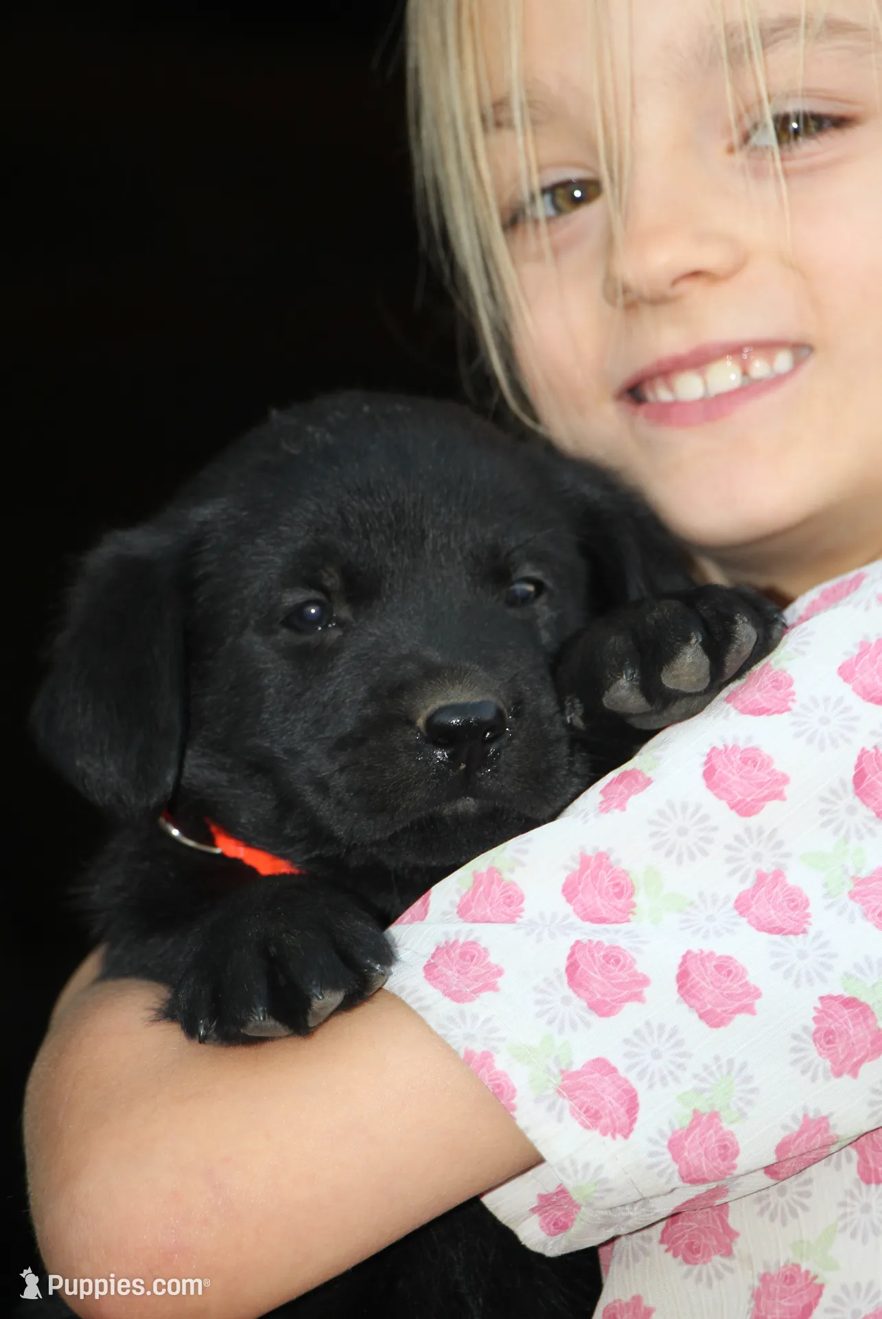 processed/e2cd34d8-ded1-4d47-831d-cfbde293db7c/listing/dd4bcd99-7ffb-4088-9d36-dec1af35fdfa/fdbd6fa4-be09-4c44-b128-d0f0493664d5