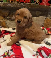 processed/e2d79773-0d56-4f02-822e-09d8ffcfffd6/listing/45e8085a-66c4-4d4d-8484-4ec72b4124b7/0dec84b2-97e6-4d2d-be9e-9a44a2110b82