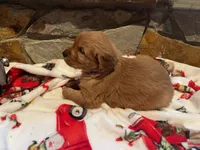 processed/e2d79773-0d56-4f02-822e-09d8ffcfffd6/listing/45e8085a-66c4-4d4d-8484-4ec72b4124b7/663c275e-5402-4f29-a68c-c02734956eac