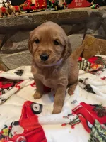 processed/e2d79773-0d56-4f02-822e-09d8ffcfffd6/listing/45e8085a-66c4-4d4d-8484-4ec72b4124b7/75164fee-6ab6-43bf-ae99-356d9cd6e9e9