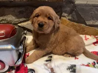 processed/e2d79773-0d56-4f02-822e-09d8ffcfffd6/listing/9462cfb2-1131-4196-b3dc-0661148365b0/2eccdeea-3a2b-42f2-90e0-eda7b00ff08d