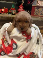 processed/e2d79773-0d56-4f02-822e-09d8ffcfffd6/listing/9462cfb2-1131-4196-b3dc-0661148365b0/340cf736-70e3-4d8d-8b00-e74df92d17dc