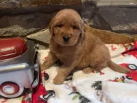 processed/e2d79773-0d56-4f02-822e-09d8ffcfffd6/listing/9462cfb2-1131-4196-b3dc-0661148365b0/5a3d2f75-82c1-472c-86cc-a5abccc89e82