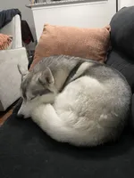 processed/e2dc2003-ac9d-489d-8af4-b00b4be7d3c0/facility/dd05a08f-e6e6-468f-a3f1-84ff5852b93e