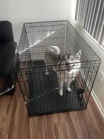 processed/e2dc2003-ac9d-489d-8af4-b00b4be7d3c0/facility/f285c4bd-cbcb-46d3-9619-a5e5dd32b562