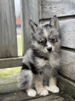 processed/e2e2e9ee-ea8c-468a-8a63-d93c7d0f11cc/listing/2b54442f-4135-4dc1-a04d-51fe20d99e58/7cdf0ba8-dc44-46ba-8e02-e1c653d7a993