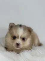 processed/e2e2e9ee-ea8c-468a-8a63-d93c7d0f11cc/listing/3c436eae-5b57-41a0-bdcf-f937849d757f/5b6fe29c-4b29-48ba-bda0-fd489d09b7b6