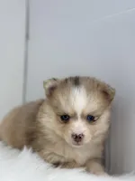 processed/e2e2e9ee-ea8c-468a-8a63-d93c7d0f11cc/listing/3c436eae-5b57-41a0-bdcf-f937849d757f/a2248755-dfff-4b69-8626-15c85102b273