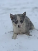 processed/e2e2e9ee-ea8c-468a-8a63-d93c7d0f11cc/listing/46ea149c-e88e-4613-bc73-3084bab800ab/8835364c-8fac-4a56-ad99-ffec0ab4ab5f