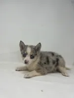 processed/e2e2e9ee-ea8c-468a-8a63-d93c7d0f11cc/listing/46ea149c-e88e-4613-bc73-3084bab800ab/89da9b7c-3eb2-4534-9f57-a1a264a88e63