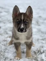 processed/e2e2e9ee-ea8c-468a-8a63-d93c7d0f11cc/listing/5983e63f-5cc8-4001-9a5d-41eb1a259570/50f48674-637a-42a0-9ae1-190e9f43db9c