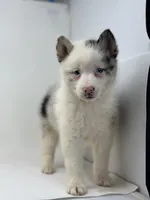 processed/e2e2e9ee-ea8c-468a-8a63-d93c7d0f11cc/listing/5b54bbd0-ba27-483e-91c9-99c8a69cc4d4/587a50c3-afba-409a-8ed8-f749ecf5fa14