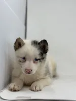 processed/e2e2e9ee-ea8c-468a-8a63-d93c7d0f11cc/listing/5b54bbd0-ba27-483e-91c9-99c8a69cc4d4/daef6bda-20e3-4a33-8aab-838f1d478145