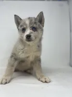 processed/e2e2e9ee-ea8c-468a-8a63-d93c7d0f11cc/listing/680b2cae-067f-44dc-a148-3276a5c20f40/41bdac97-2995-4204-a23b-4e2b25e1dd21