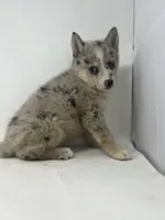 processed/e2e2e9ee-ea8c-468a-8a63-d93c7d0f11cc/listing/680b2cae-067f-44dc-a148-3276a5c20f40/9c0913dc-f1c1-4c42-8388-5141750447d8