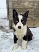 processed/e2e2e9ee-ea8c-468a-8a63-d93c7d0f11cc/listing/829c82ac-58e3-47cc-a283-9a169d709e77/46855395-5f83-477d-9a35-240f84554dec