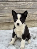 processed/e2e2e9ee-ea8c-468a-8a63-d93c7d0f11cc/listing/829c82ac-58e3-47cc-a283-9a169d709e77/af7c21a1-83fa-454c-9580-86b4b753c9fb