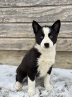 processed/e2e2e9ee-ea8c-468a-8a63-d93c7d0f11cc/listing/829c82ac-58e3-47cc-a283-9a169d709e77/f5b615a2-e2f0-48c6-b761-1a18b91f1c32