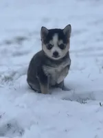 processed/e2e2e9ee-ea8c-468a-8a63-d93c7d0f11cc/listing/86c362aa-8323-4ea1-9ab1-517a236d22c8/bdd66d31-9306-413b-9b29-16a04f54a714