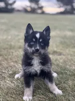 processed/e2e2e9ee-ea8c-468a-8a63-d93c7d0f11cc/listing/92442fff-528c-47ae-85e2-b4a5e00b4987/016a5403-356c-41fe-a8a1-3d44c4095891