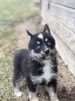 processed/e2e2e9ee-ea8c-468a-8a63-d93c7d0f11cc/listing/92442fff-528c-47ae-85e2-b4a5e00b4987/7667f841-2bb0-49e6-a0d7-5cb11d108a36