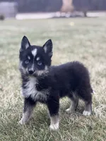 processed/e2e2e9ee-ea8c-468a-8a63-d93c7d0f11cc/listing/92442fff-528c-47ae-85e2-b4a5e00b4987/9b81cae2-3cd2-4c28-a28e-c0a5384f4c0b