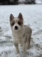 processed/e2e2e9ee-ea8c-468a-8a63-d93c7d0f11cc/listing/9ea86e7b-f559-41af-99f5-d496afcd8749/5922abda-fec6-46fc-a97d-daa497594747