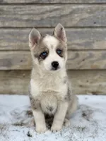 processed/e2e2e9ee-ea8c-468a-8a63-d93c7d0f11cc/listing/9ea86e7b-f559-41af-99f5-d496afcd8749/a26c7339-dd11-47a2-9763-11689682db35