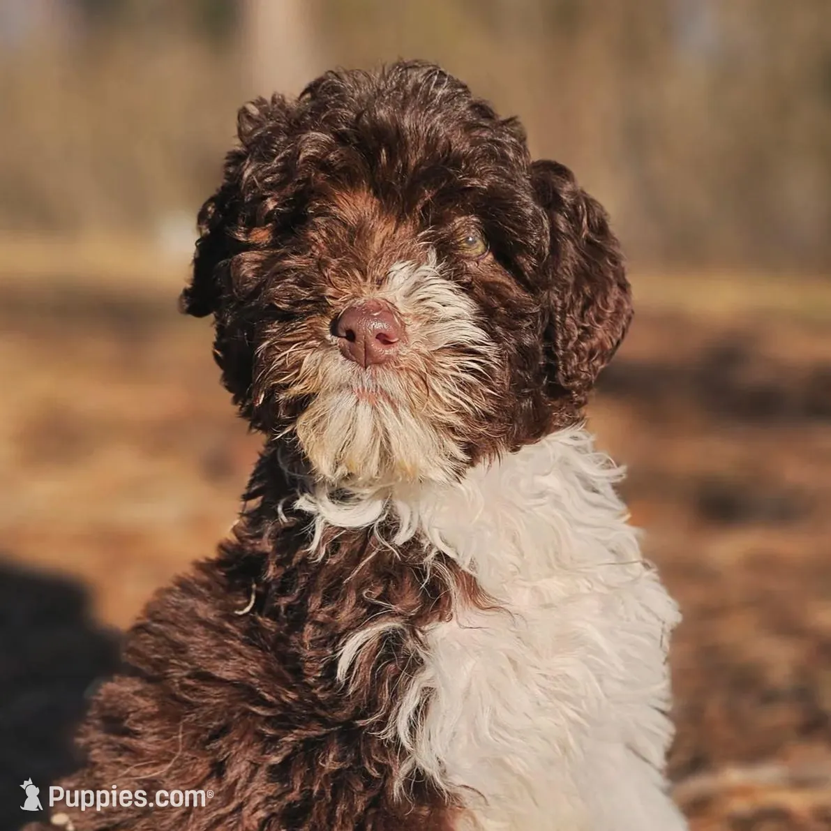 processed/e308d2a9-000f-4709-b099-762692157179/listing/f10bc13c-0539-4df7-887a-21b129d09a5d/05f446c7-b417-4bc7-aa88-4a8e7d0b3bc0