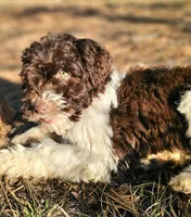 processed/e308d2a9-000f-4709-b099-762692157179/listing/f10bc13c-0539-4df7-887a-21b129d09a5d/07d2a11d-aba4-4bbb-9e9a-f5a9157aa7d9